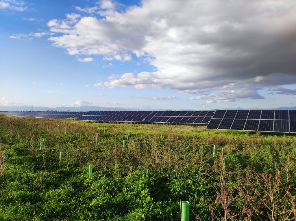 fondo_servicios_estrategia ecologica_consultoria ambiental_placas solares