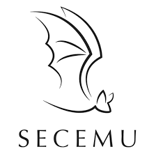 logo2_tercer sector_SECEMU